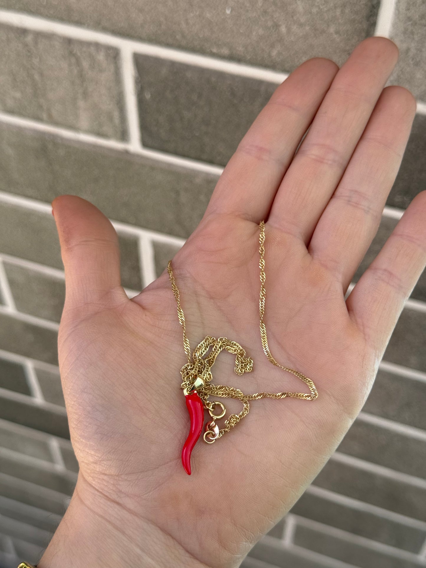 Colgante de aji 🌶️